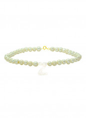 Letter Z Luxury Pet Collar Bracelet