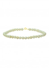 18 Karat Gold With Pearls Luxury Pet Collar Bracelet