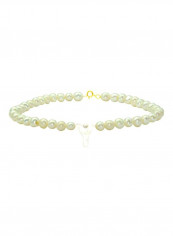 18 Karat Gold With Pearls Letter Y Luxury Pet Collar Bracelet
