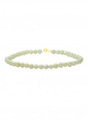10 Karat Gold With Pearls Luxury Pet Collar Bracelet