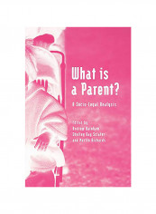 What is a Parent: A Socio-Legal Analysis Paperback English by Andrew Bainham