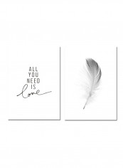 2-Piece Letter And Feather Pattern Wall Painting Black 30x40centimeter