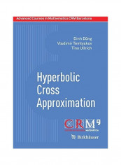 Hyperbolic Cross Approximation Paperback English by Dinh Dung