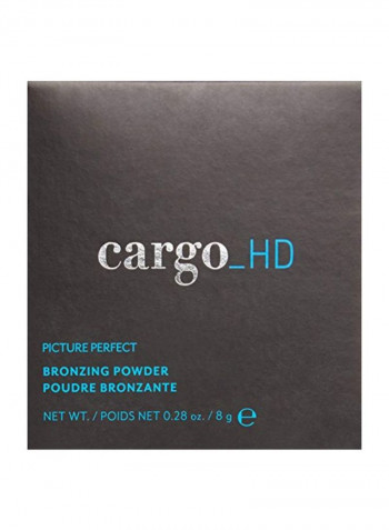 Picture Perfect Bronzing Powder Beige