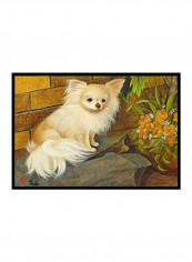 Chihuahua Just Basking Indoor/Outdoor Mat Multicolour 12 x 19inch