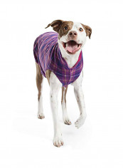 Gold Paw Duluth Double Fleece Dog Coat Pullover أزرق تقييمات Gold Paw Duluth Double Fleece Dog Coat Pullover أزرق