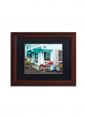 Raptor Wooden Framed Wall Art Multicolour 11 x 14inch