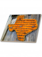 Barbed Wire Themed Decorative Tile Multicolour
