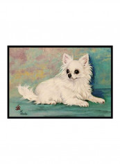 Chihuahua Queen Mother Indoor/Outdoor Mat Multicolour 12 x 24inch