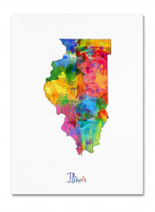 Illinois Map Canvas Wall Art Multicolour 14 x 19inch