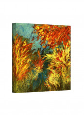 Quiet Lake I Gallery Wrapped Canvas Wall Art Multicolour 14 x 14inch