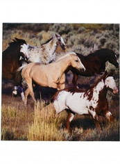 Horses Printed Decorative Tile Multicolour 30cm
