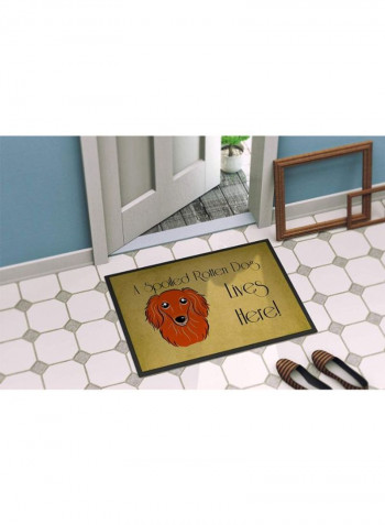 Longhair Dachshund Spoiled Dog Lives Here Indoor/Outdoor Mat Multicolour 11 x 14inch