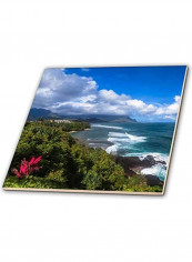 Nature Printed Decorative Wall Hanging Tile Multicolour