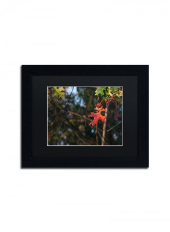 Oak Wall Art Multicolour 11 x 14inch
