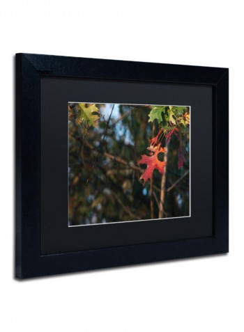 Oak Wall Art Multicolour 11 x 14inch