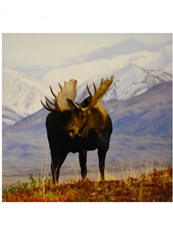 Moose Bull Tile Multicolour 12x12x0.25inch