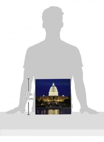 Washington D.C. Refleion Of Capitol Building Tile Multicolour 12x12x0.25inch