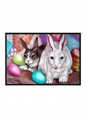 Buddy Rabbit Indoor/Outdoor Mat Multicolour 12 x 19inch