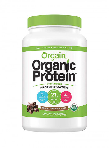 Plant Based Protein Powder