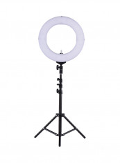 LED Fill Light CRI 90+ With Filter Mini Ball Head Phone Holder 14inch Black