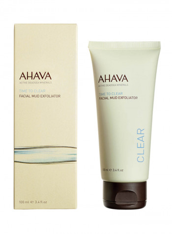 Facial Mud Exfoliator 96ml