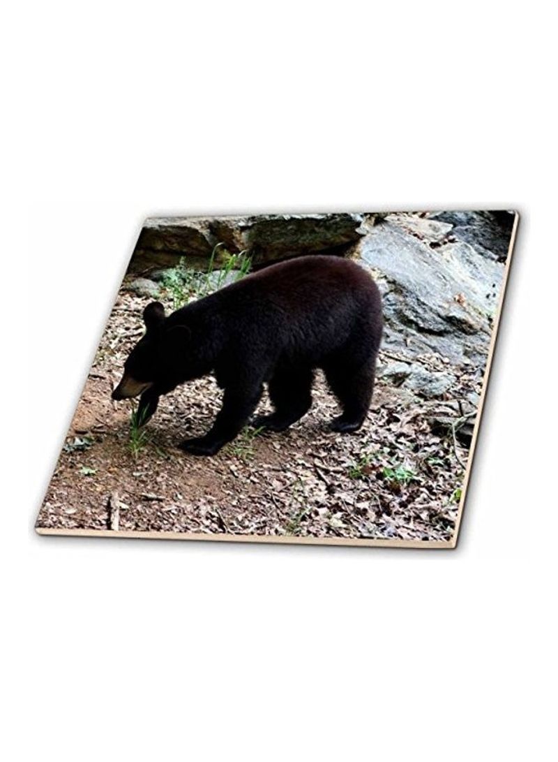 A Black Bear in a Wildlife Center Ceramic Tile Multicolour