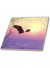 Bald Eagle Flying Through The Fog Printed Decorative Wall Hanging Tile Multicolour