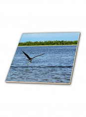 Osprey with Fish Ceramic Tile Multicolour 12 x 12inch