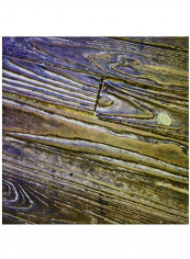 Rough Planks Decorative Tile Multicolour 12x12x0.25inch