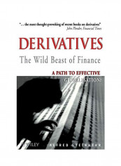Derivatives The Wild Beast Of Finance: A Path To Effective Globalisation? Paperback