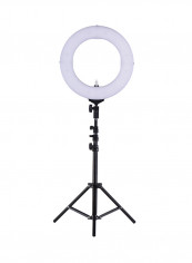 LED Fill Light CRI 90+ With Mini Ball Head Phone Holder 14inch Black