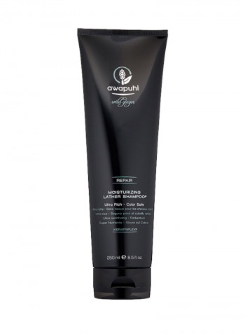Paul Mitchell Wild Ginger Ultra-Rich Moisturizing Lather Shampoo 250مل
