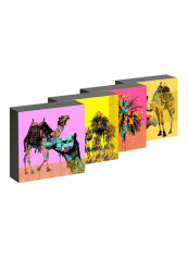 4-Piece Fair And Square Picture Box Set Pink/Yellow/Brown 15x15centimeter