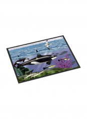 Whale Orcas Indoor/Outdoor Mat Multicolour 24 x 36inch