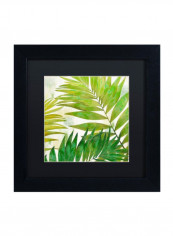 Brasilia Ii Wall Art Green 11 x 11inch