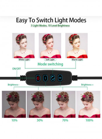 4 in 1 Desktop Cosmetic Live Lamp 25.5 x 25.5 x 25.5cm Multicolour