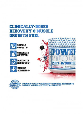 Power Build Dietary Supplement - Mixed Berry