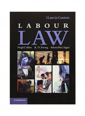 Labour Law Paperback