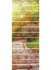 13 Pieces 3D Stair Sticker multicolor 19.0x7.0x7.0cm