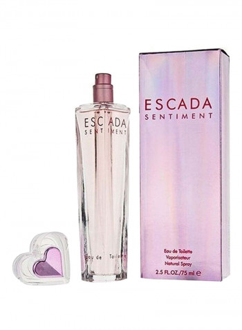 Sentiment EDT 100 ml & Sentiment EDT 75 ml