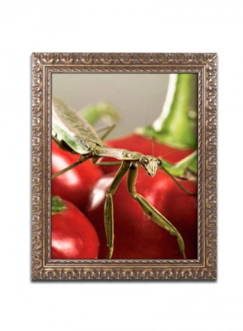 Poulets Ii Framed Wall Art multicolour 11 x 11inch