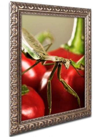 Poulets Ii Framed Wall Art multicolour 11 x 11inch