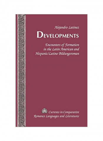 Developments : Encounters Of Formation In The Latin American And Hispanic/Latino Bildungsroman Hardcover