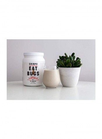 Eat Bugs Cricket Protein Powder - Vanilla