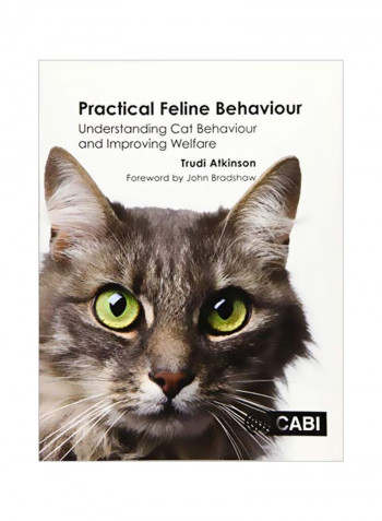 Practical Feline Behaviour Paperback