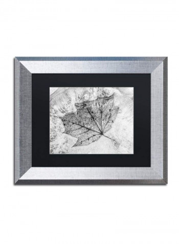 Encased In Ice Silver Framed Wall Art Multicolour 11 x 14inch