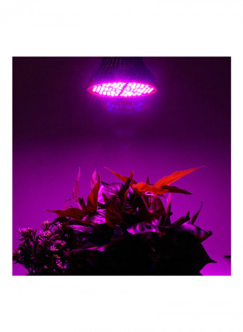 PAR38 LED Full Spectrum Plant Grow Light Multicolour 13 x 13 x 13cm