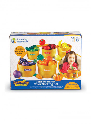 Farmer's Market Food Sorting Set 33.02 x 14.73 x 25.65cm
