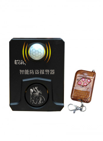 Remote Control Car Anti-theft System With Double Siren